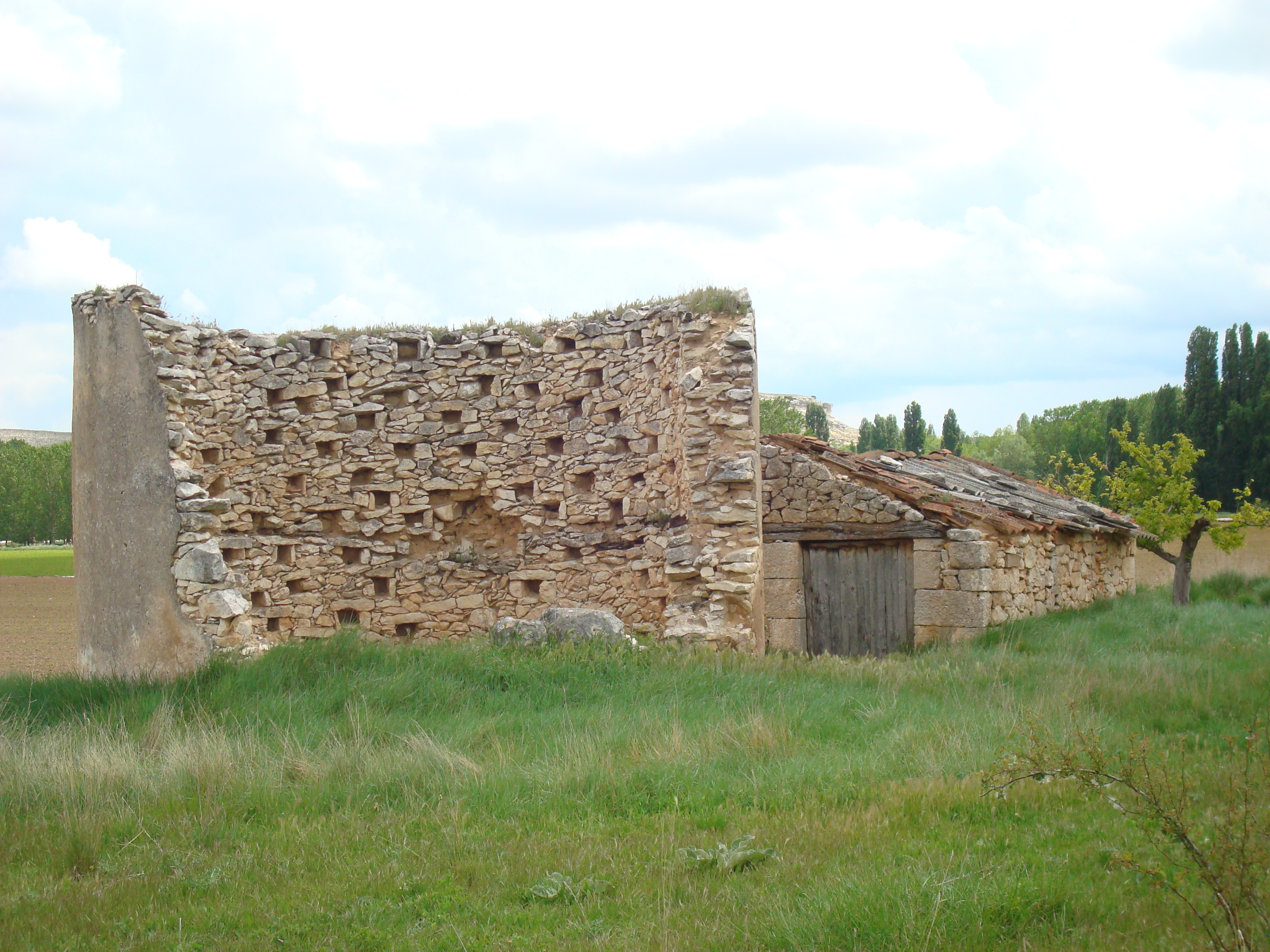 El palomar
