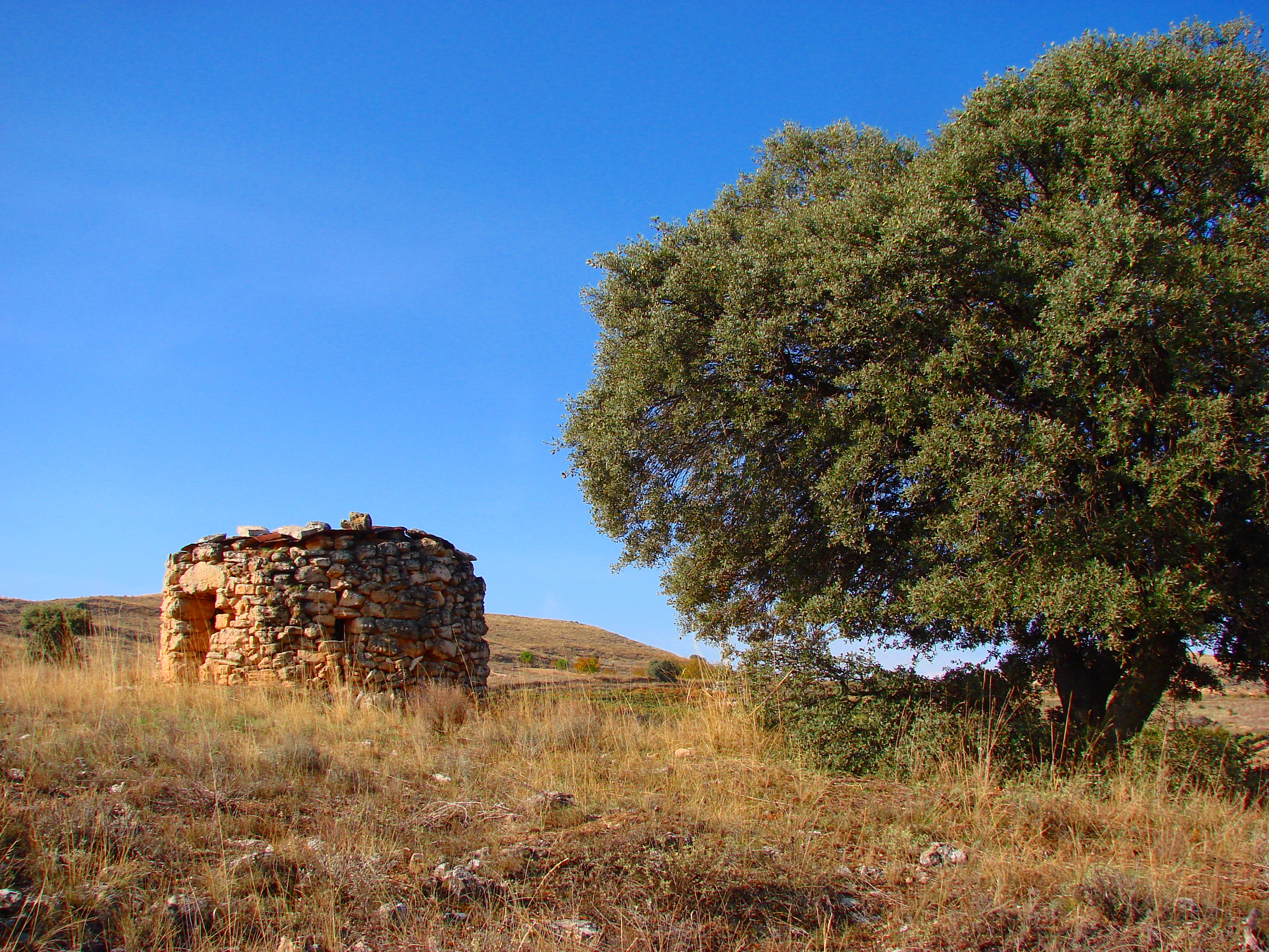 Refugio de campo